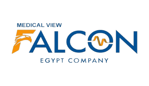 Falcon Egypt Company